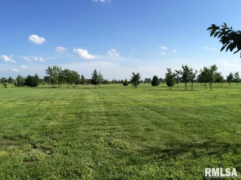 124 E Sherry Dr, Springfield, IL 62703 photo 7