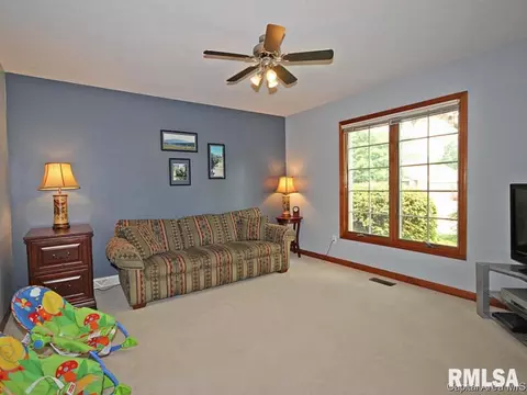 4070 Mill Stone, Springfield, IL 62711 photo 19