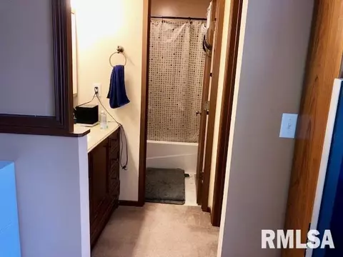 13 Brookside Pl, Springfield, IL 62704 photo 14