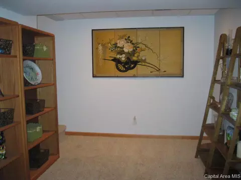 5012 Manhattan Dr, Springfield, IL 62711 photo 21