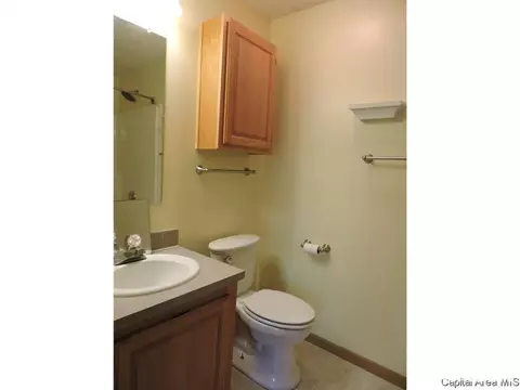 603 N Bitterroot Dr, Athens, IL 62613 photo 14