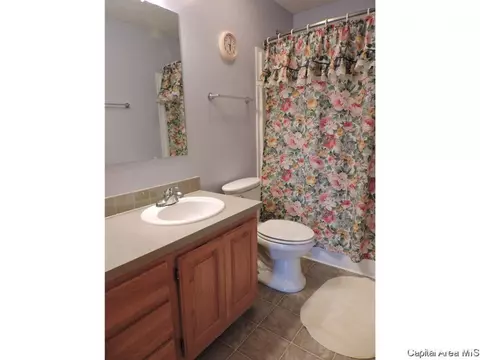 603 N Bitterroot Dr, Athens, IL 62613 photo 17