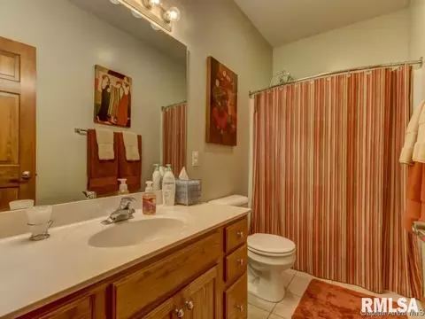 1700 Old Ivy, Springfield, IL 62711 photo 15