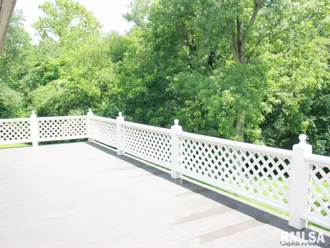3138 Moore Rd, Springfield, IL 62707 photo 35
