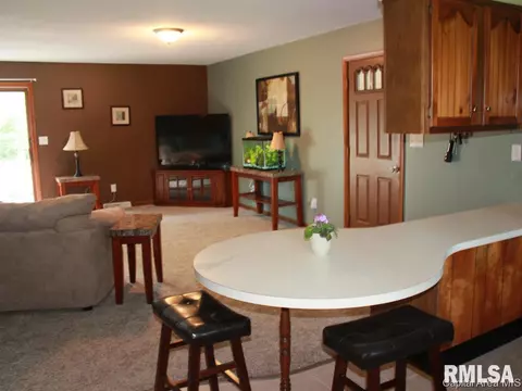 3138 Moore Rd, Springfield, IL 62707 photo 10