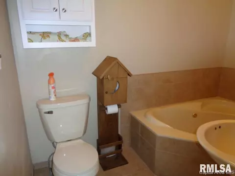 3518 Vestige Trl, Springfield, IL 62707 photo 19