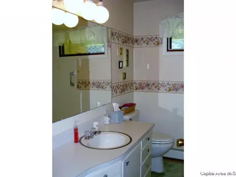 604 S Center St, Oneida, IL 61467 photo 21