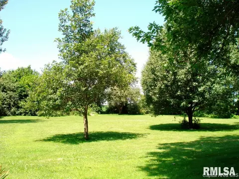 604 S Center St, Oneida, IL 61467 photo 4