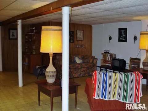 604 S Center St, Oneida, IL 61467 photo 24