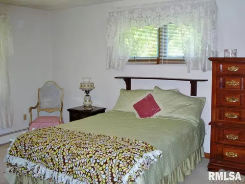 604 S Center St, Oneida, IL 61467 photo 17