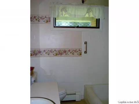 604 S Center St, Oneida, IL 61467 photo 22
