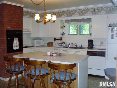 604 S Center St, Oneida, IL 61467 photo 10