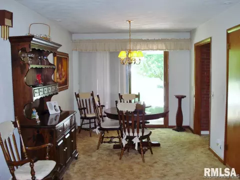 604 S Center St, Oneida, IL 61467 photo 8