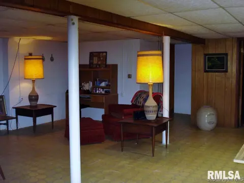604 S Center St, Oneida, IL 61467 photo 23