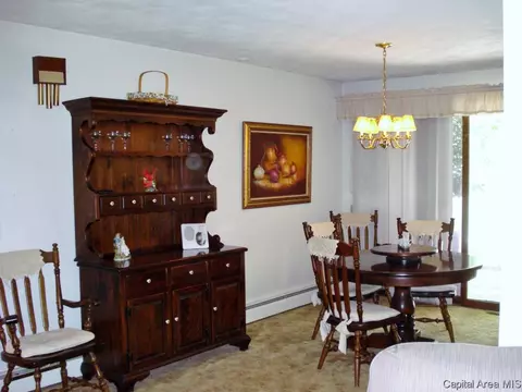 604 S Center St, Oneida, IL 61467 photo 9