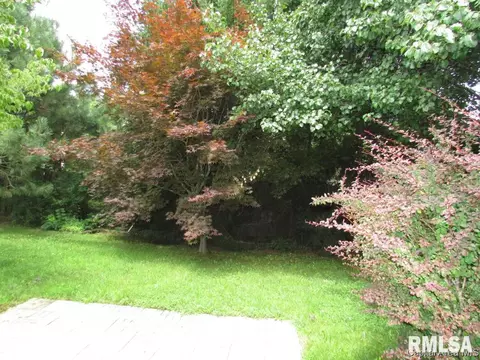 1421 Guemes, Springfield, IL 62702 photo 19