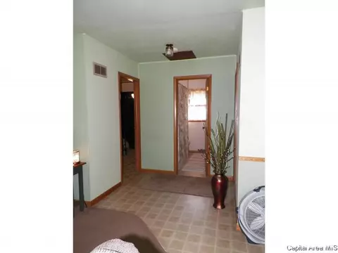 248 E Burch St, Wataga, IL 61488 photo 16