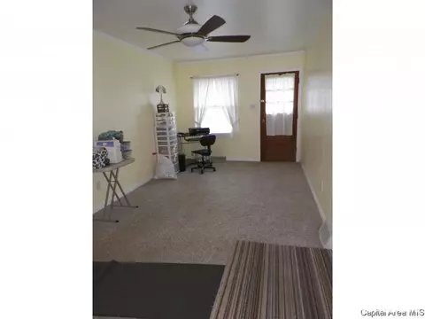 248 E Burch St, Wataga, IL 61488 photo 18