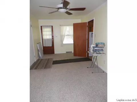 248 E Burch St, Wataga, IL 61488 photo 13