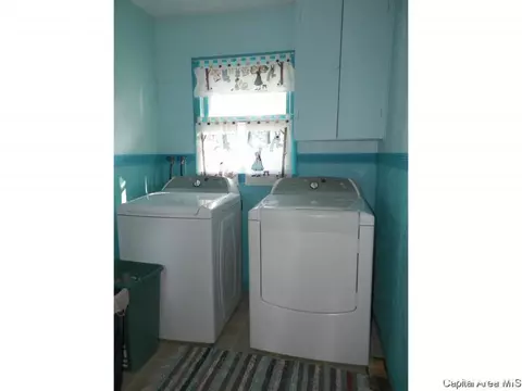 248 E Burch St, Wataga, IL 61488 photo 17