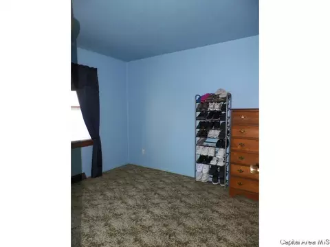 248 E Burch St, Wataga, IL 61488 photo 9