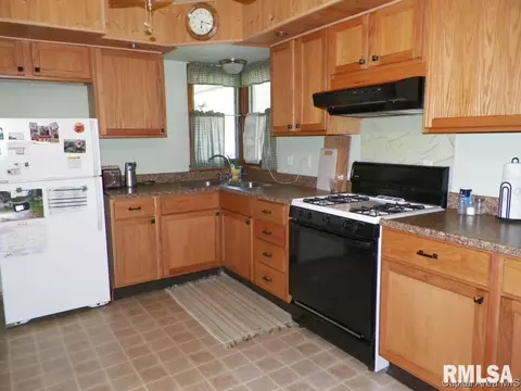 248 E Burch St, Wataga, IL 61488 photo 4