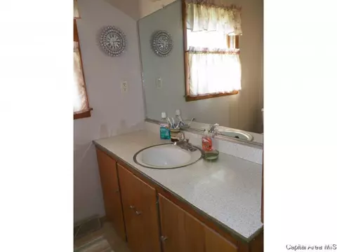 248 E Burch St, Wataga, IL 61488 photo 14