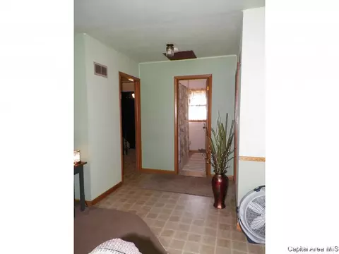 248 E Burch St, Wataga, IL 61488 photo 11