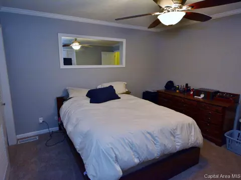 29 Midland Ct, Springfield, IL 62702 photo 20