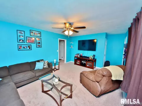 29 Midland Ct, Springfield, IL 62702 photo 7