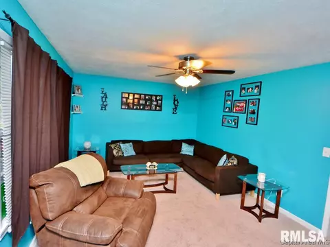 29 Midland Ct, Springfield, IL 62702 photo 6