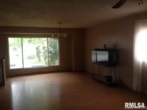 1901 N Albany, Springfield, IL 62702 photo 10