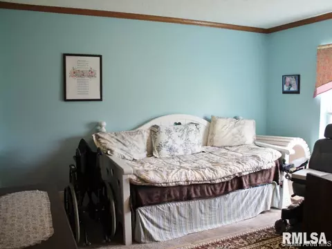 2036 E Cedar St, Springfield, IL 62703 photo 18