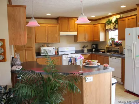 2036 E Cedar St, Springfield, IL 62703 photo 9