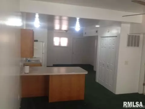 1219 E Pine St, Springfield, IL 62703 photo 9
