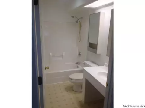 1219 E Pine St, Springfield, IL 62703 photo 12