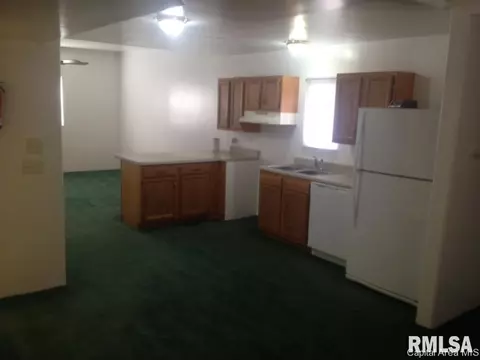 1219 E Pine St, Springfield, IL 62703 photo 11
