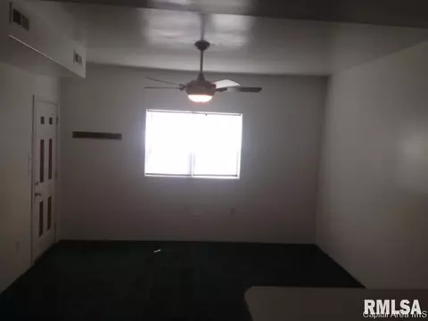 1219 E Pine St, Springfield, IL 62703 photo 8