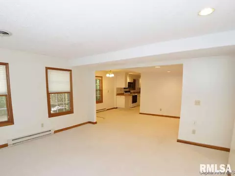 3501 Bluff Rd, Springfield, IL 62711 photo 29