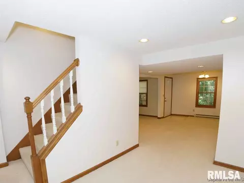 3501 Bluff Rd, Springfield, IL 62711 photo 25