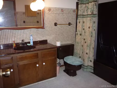 2424 Austin, Springfield, IL 62704 photo 13