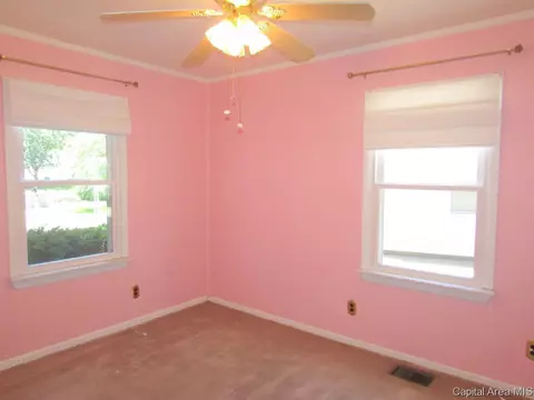 3069 Louise, Springfield, IL 62702 photo 11