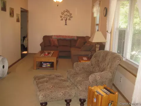 2003 N 9th St, Springfield, IL 62702 photo 9