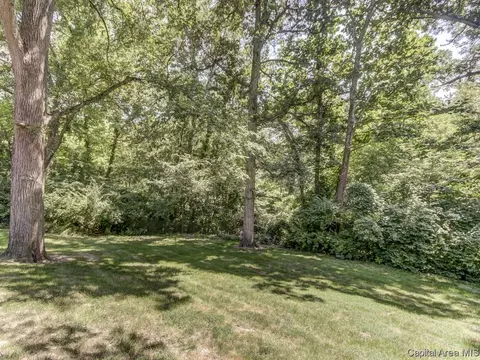 6 Harlan Ct, Springfield, IL 62712 photo 31