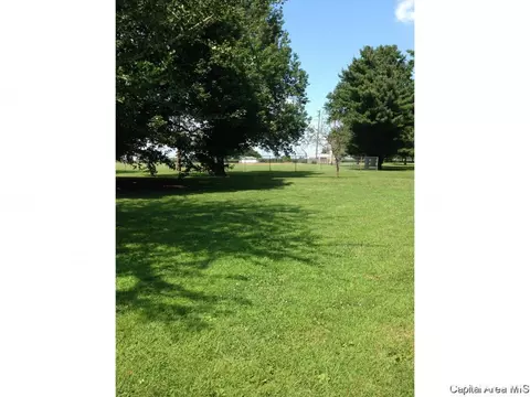 403 Smith St, Harvel, IL 62538 photo 24