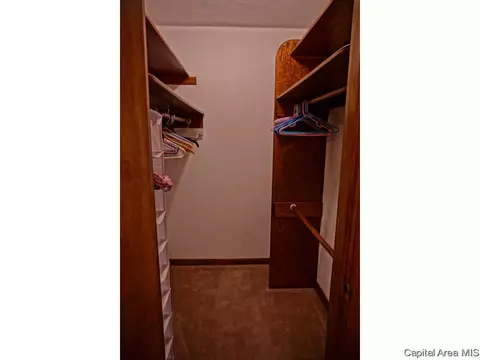 403 Smith St, Harvel, IL 62538 photo 6