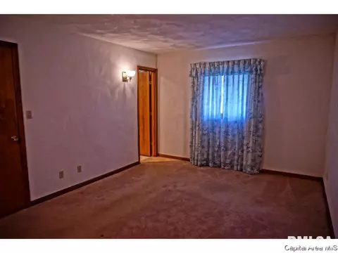 403 Smith St, Harvel, IL 62538 photo 18