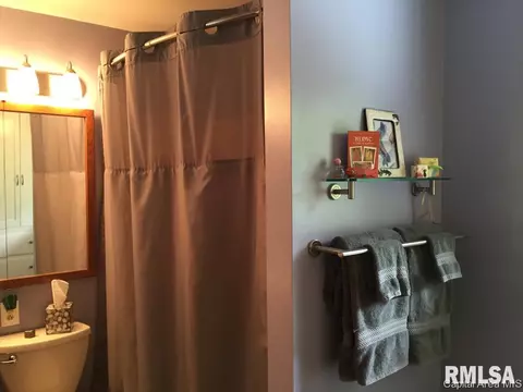 516 S Park, Springfield, IL 62704 photo 18