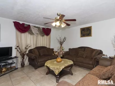 520 Williams Street St, Springfield, IL 62704 photo 8