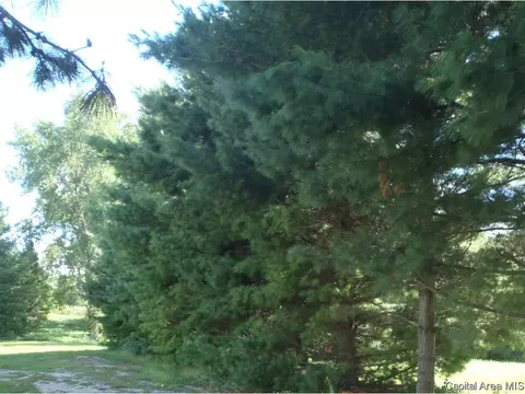 28537 Winterbauer, Athens, IL 62613 photo 7